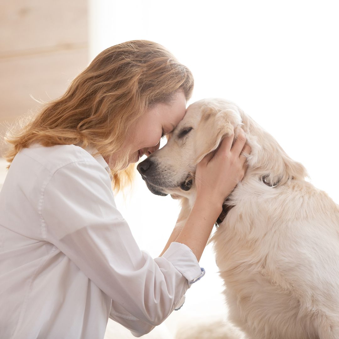 a dog with a dog business owner with mental health challenges